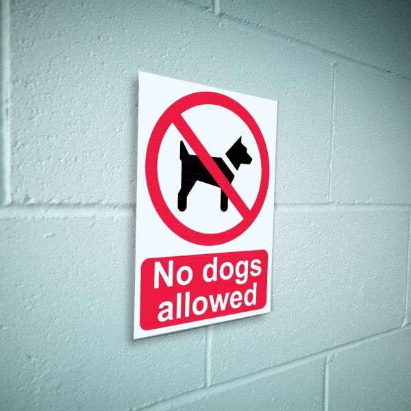 No dogs allowed sign