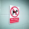 No dogs except guide dogs sign