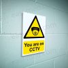 You Are on CCTV Dome Camera Sign – A5, A4, A3 | Vinyl Sticker & Rigid PVC – Easi-Signs