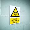 Smile You Are on CCTV Dome Camera Sign – A5, A4, A3 | Vinyl Sticker & Rigid PVC – Easi-Signs